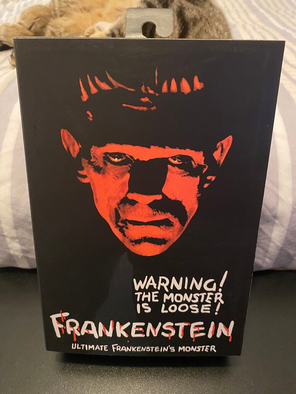 NECA:  Universal Monsters - Frankenstein (B&W)